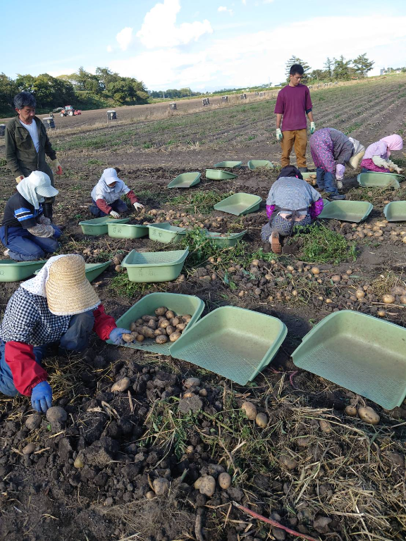 https://qm74uc.media.saiyo-job.jp/contents/data/65deeac4-b944-407f-8a5e-6e3300025554